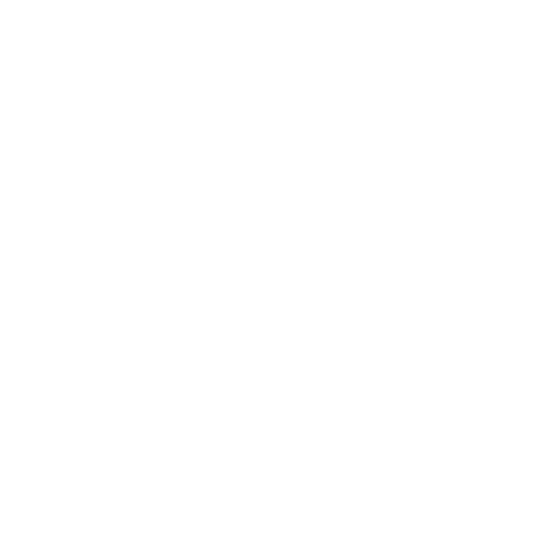 one platform logo
